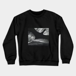 eclipse Crewneck Sweatshirt